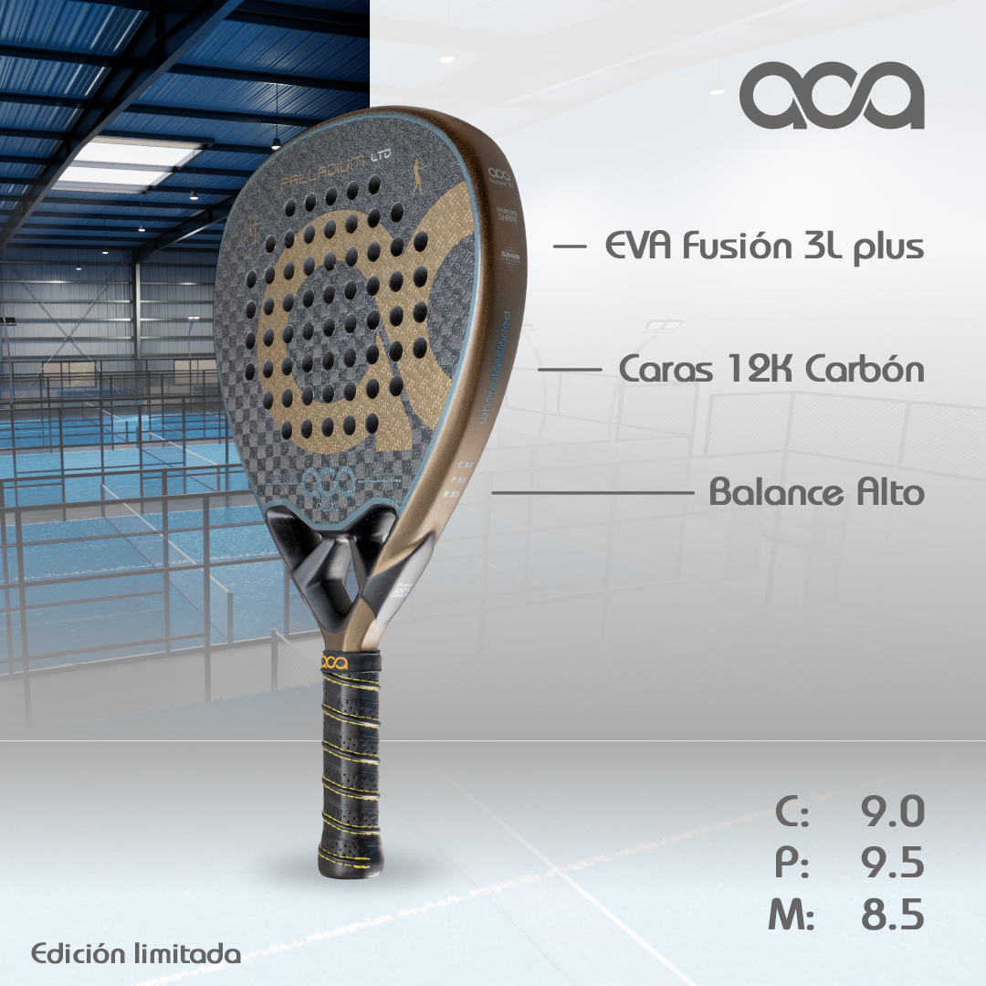 PALLADIUM GOLD LTD miniatura 2